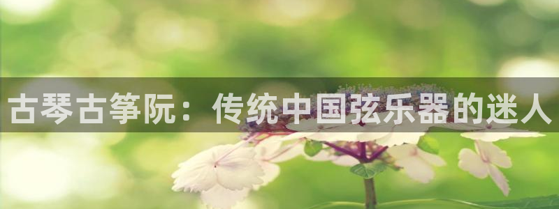 凯发app是干嘛的