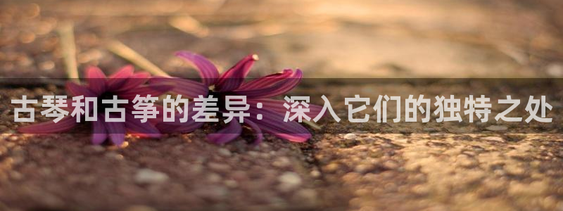 凯发在线平台官方网站