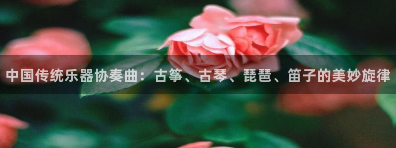 凯发k8国际手机网页