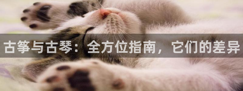 凯发旗舰厅官网