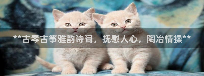 凯发官方手机app