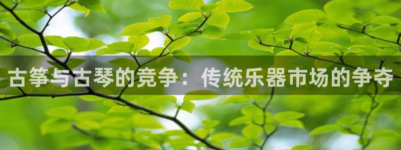 凯发网娱乐官网国际