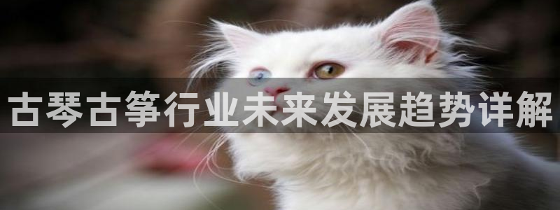 凯发k8娱乐官网最新版本