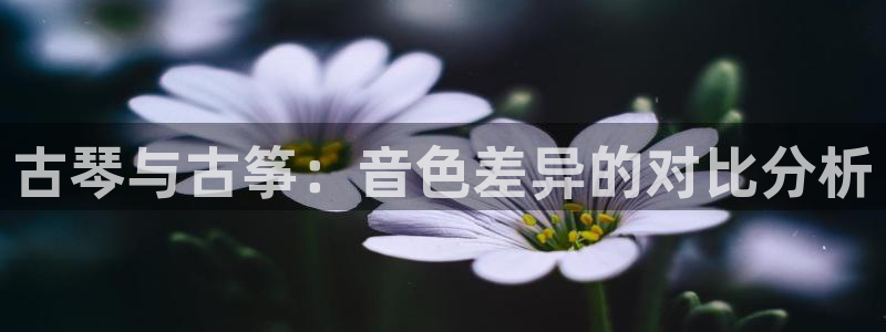 ks8凯发官方网站