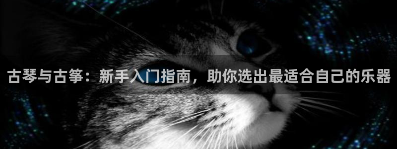 凯发k8官方网娱乐官方真