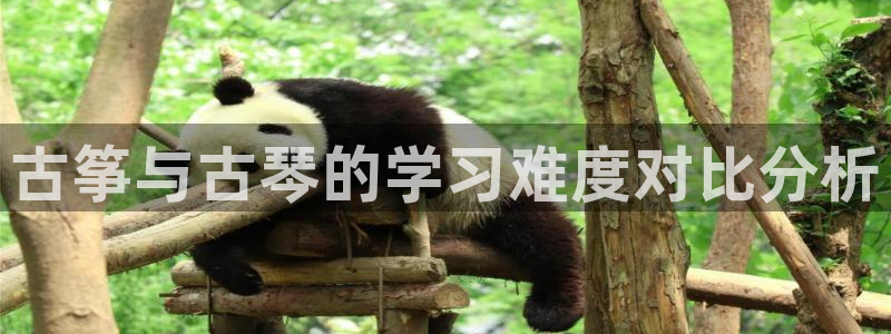 凯发网址多少
