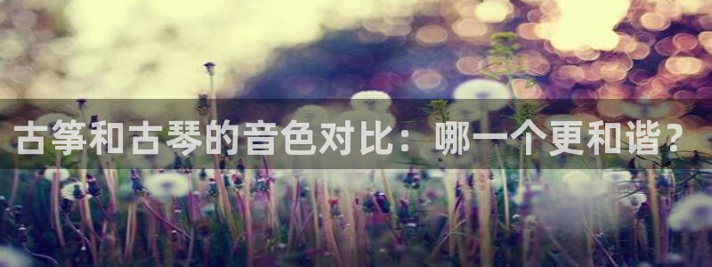 凯发网娱乐官网国际