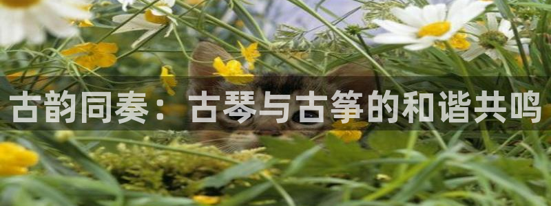 凯发国际是什么投资平台