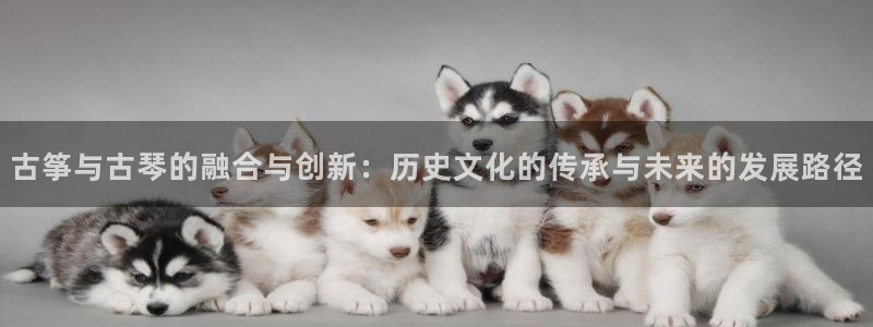 凯发k81111国际真人版