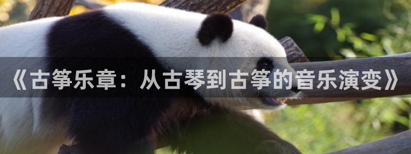 凯发国际网站：《古筝乐章：从古琴到古筝的音乐演变》