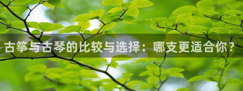 凯发平台风采