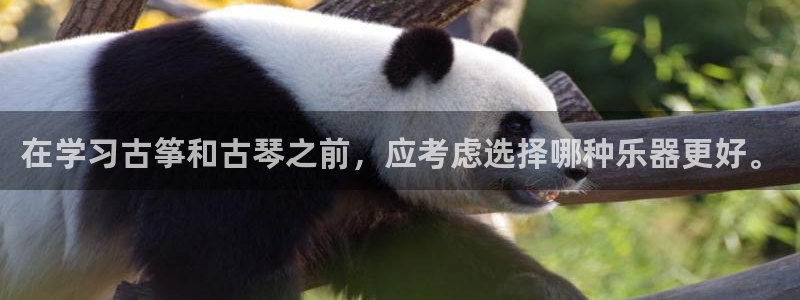 凯发k8娱乐官网旗舰厅