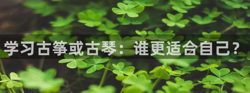 凯发官方首页：学习古筝或古琴：谁更适合自己？