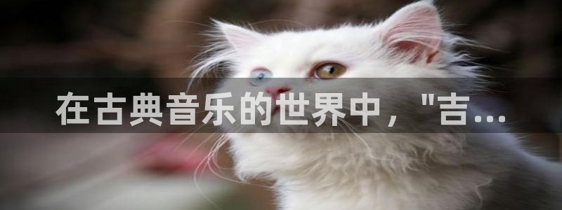 凯发国际网站