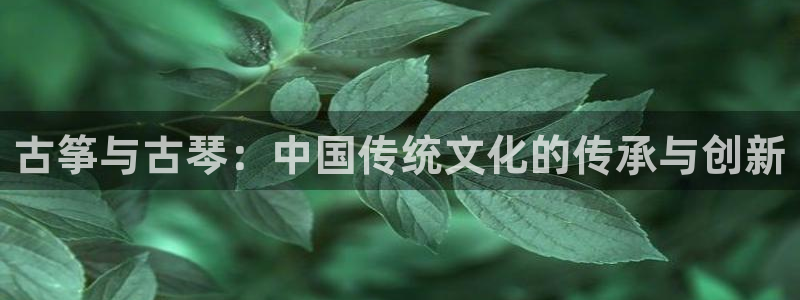 凯发平台8：古筝与古琴：中国传统文化的传承与创新