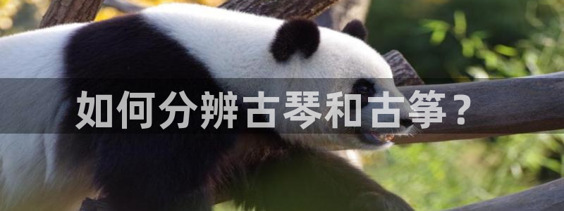 凯发平台敌7O777：如何分辨古琴和古筝？