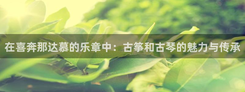 凯发k8娱乐是国内平台?：在喜奔那达慕的乐章中：古筝和古琴的