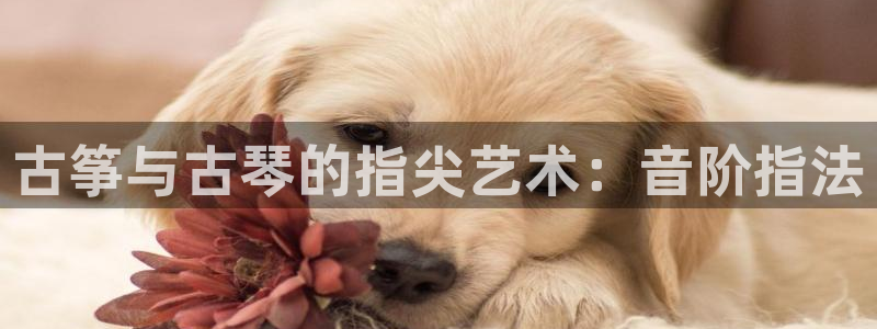 凯发k8国际官网可靠吗