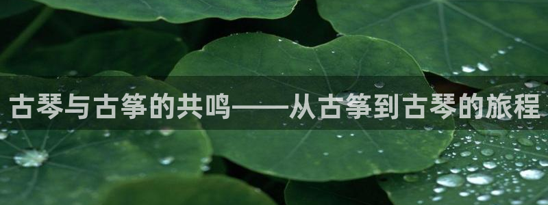 凯发app地址：古琴与古筝的共鸣——从古筝到古琴的旅程