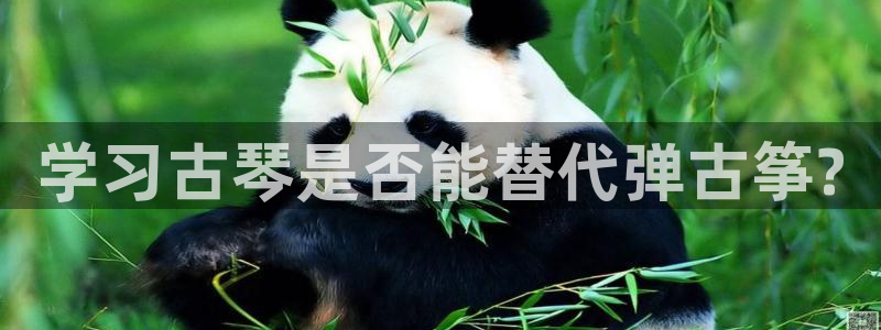 凯发k8国际版官网