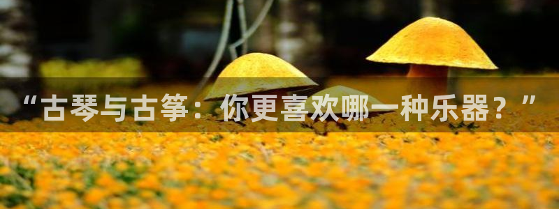 凯发官方:访问凯发.网站
