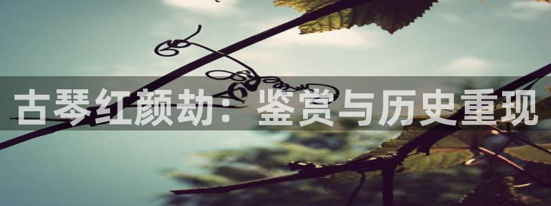 k8凯发官方找就送38：古琴红颜劫：鉴赏与历史重现