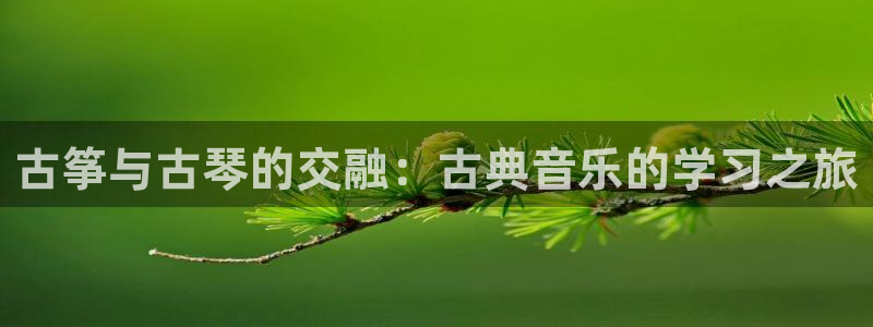 凯发官网手机app