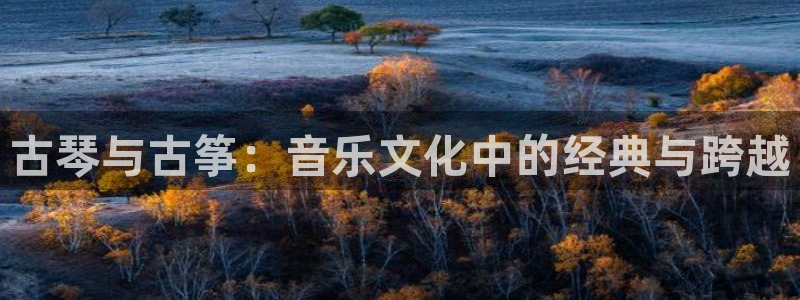 凯发国际平台app：古琴与古筝：音乐文化中的经典与跨越