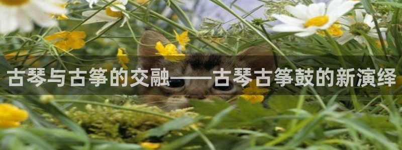 凯发旗舰厅官网：古琴与古筝的交融——古琴古筝鼓的新演绎