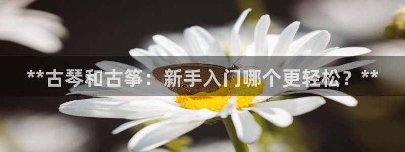 凯发k8官方网娱乐官方真