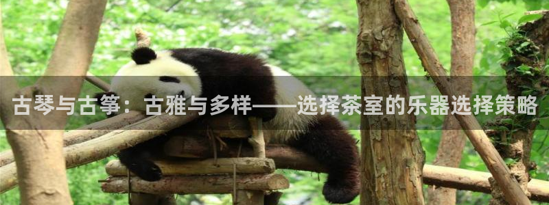 凯发是什么意思