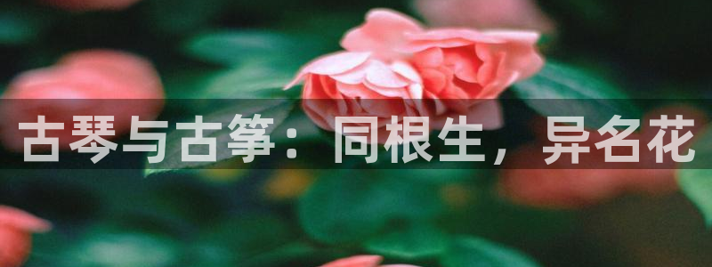 凯发k8娱乐是国内平台?