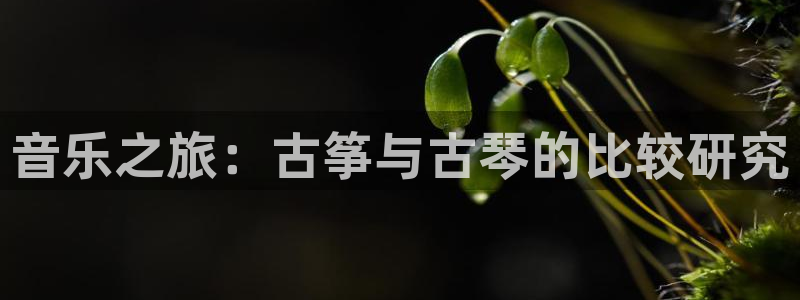 凯发k8娱乐是真实的吗