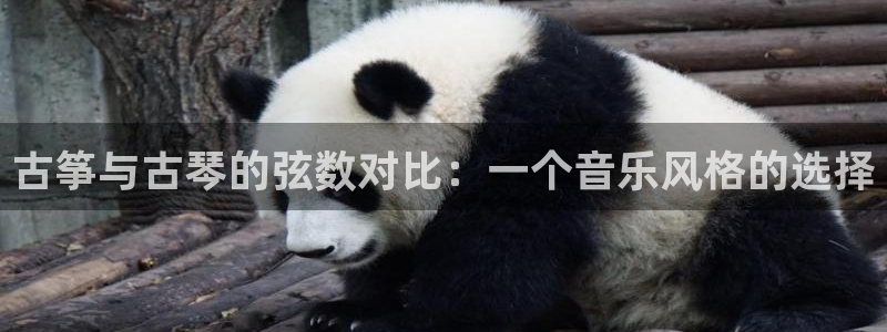 凯发k8娱乐要访问kf6819：古筝与古琴的弦数对比：一个音