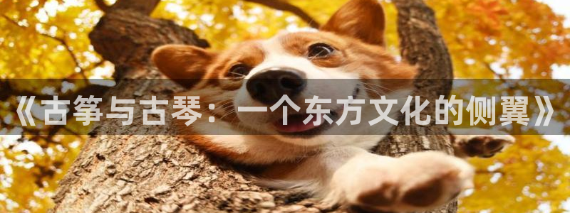 国际凯发k8真人版旗舰厅